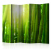 Room Divider Sunlight Amidst Greenery II (5-piece) - forest of bamboo sticks 133254