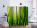 Room Divider Sunlight Amidst Greenery II (5-piece) - forest of bamboo sticks 133254 additionalThumb 2
