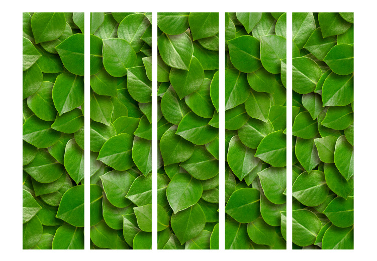 Folding Screen Mysterious Garden II - plant texture composition with green leaves 133854 additionalImage 3