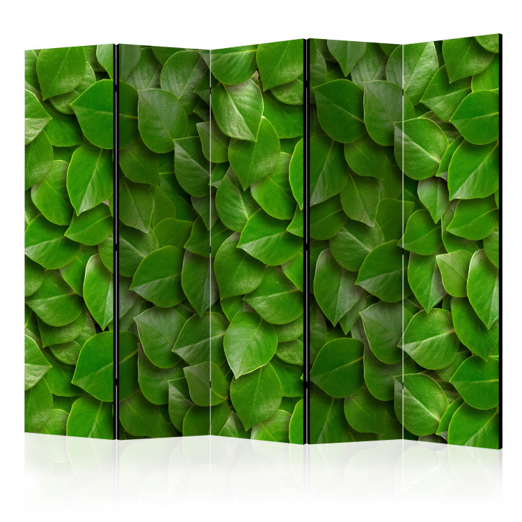 Folding Screen Mysterious Garden II - plant texture composition with green leaves 133854