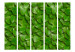 Folding Screen Mysterious Garden II - plant texture composition with green leaves 133854 additionalThumb 3
