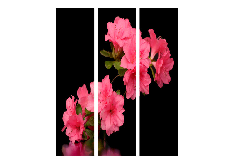 Room Divider Screen Azalea in Black - plant with pink flowers on a black background 133954 additionalImage 3