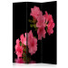 Room Divider Screen Azalea in Black - plant with pink flowers on a black background 133954