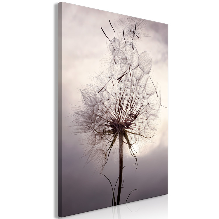 Canvas Inflorescence of a Dandelier - photo in the style of boho 137254 additionalImage 2