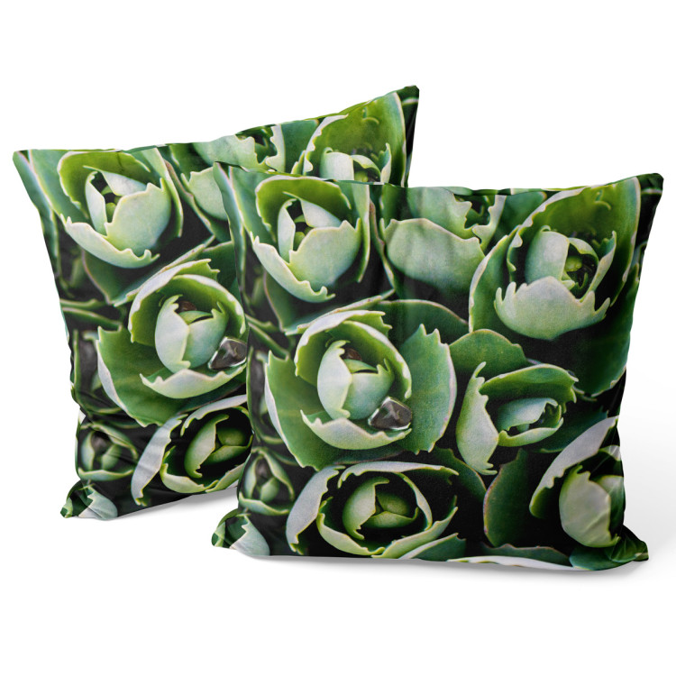 Decorative Velor Pillow Shy succulents - a floral composition with rich detailing 147054 additionalImage 3