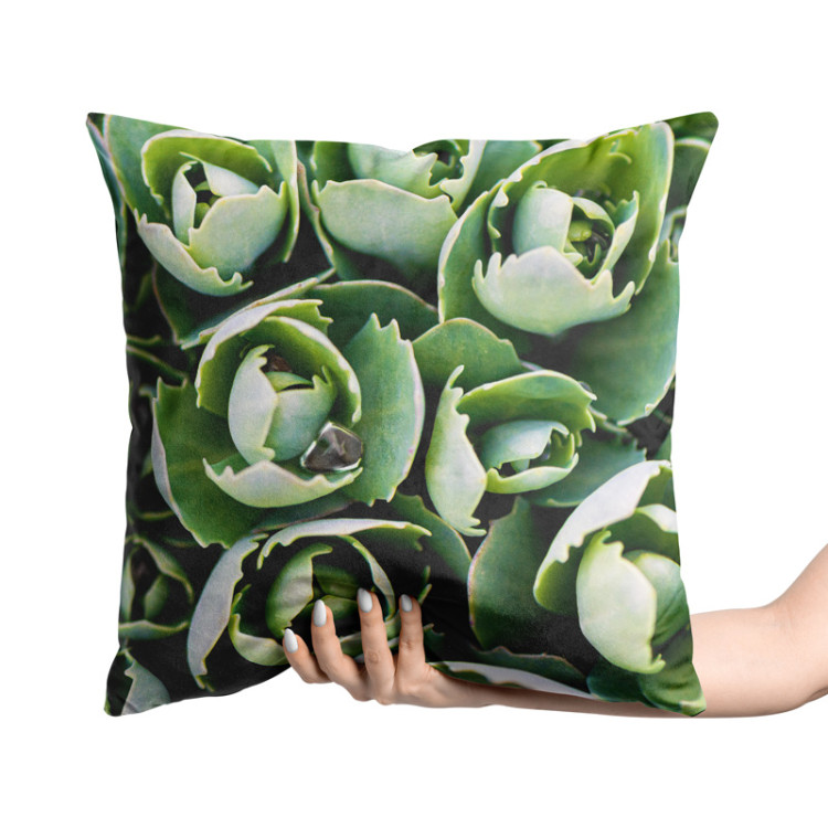 Decorative Velor Pillow Shy succulents - a floral composition with rich detailing 147054 additionalImage 2