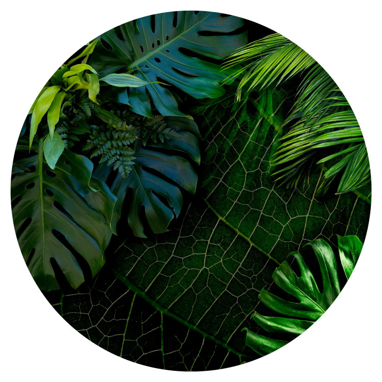 Round wallpaper Dark Jungle - Juicy Green Large Leaves Seen From Above 149154 additionalImage 1