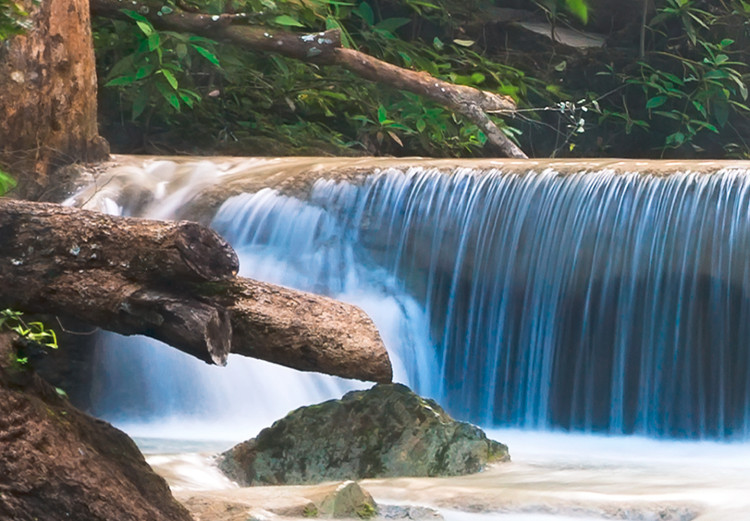 Large canvas print Reverie at the Waterfall [Large Format] 150754 additionalImage 3