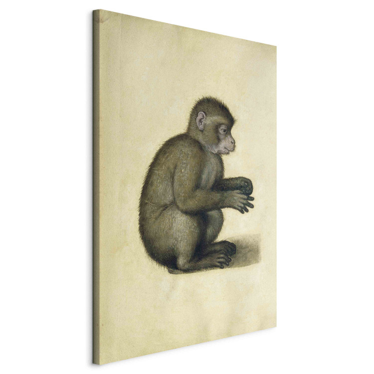 Reproduction Painting A Monkey 155354 additionalImage 2