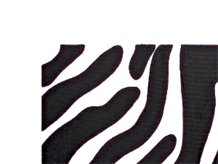 Canvas Print Zebra Stripes (3-piece) - minimalist black and white abstraction 46854 additionalImage 2