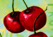Canvas Art Print Lime, cherry, orange 48454 additionalThumb 4