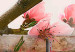 Canvas Cherry blossom 48754 additionalThumb 3