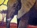 Canvas Art Print African elephants - animals in the setting sun on savannah 49454 additionalThumb 2
