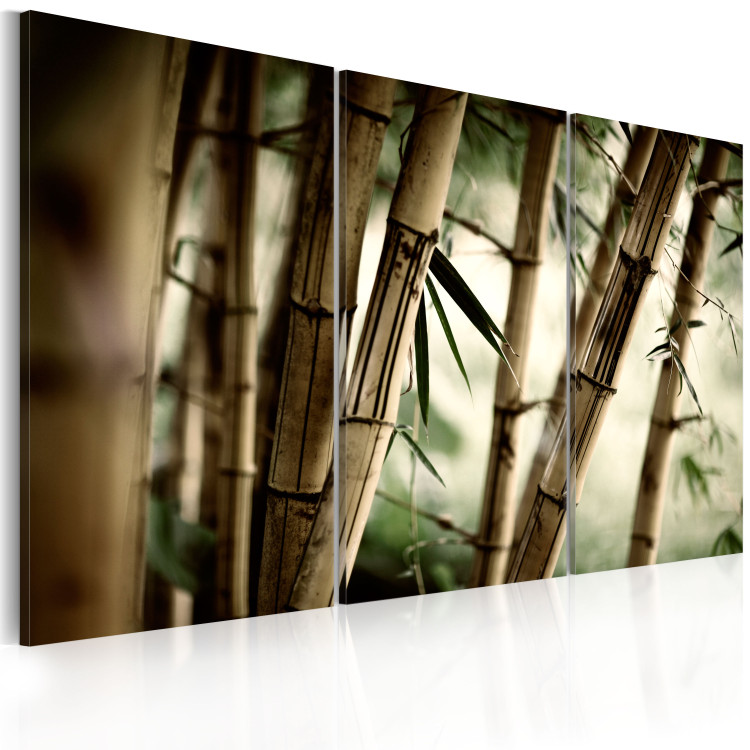 Canvas Art Print In a tropical forest 58654 additionalImage 2
