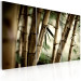 Canvas Art Print In a tropical forest 58654 additionalThumb 2