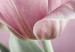 Canvas Print Romantic Tulips 91654 additionalThumb 4