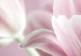 Canvas Print Romantic Tulips 91654 additionalThumb 5