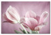 Canvas Print Romantic Tulips 91654