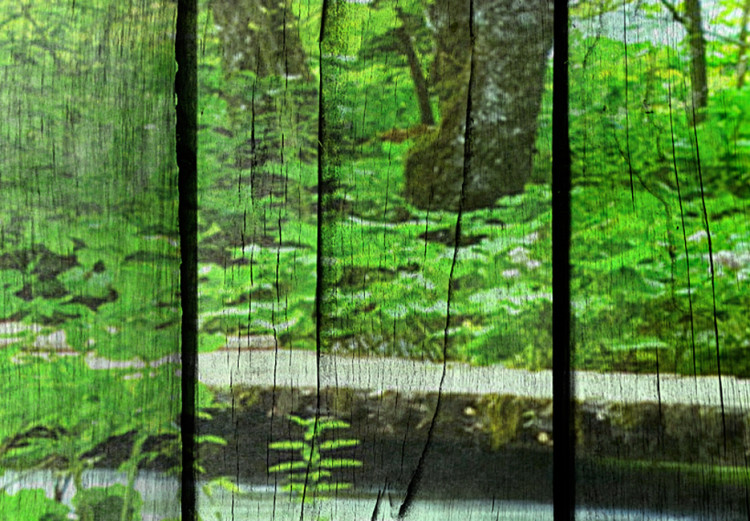 Print On Glass Forest of Secrets [Glass] 92554 additionalImage 4