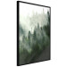 Wall Poster Coniferous Forest - Landscape of tall dark green trees amidst dense fog 114364 additionalThumb 10