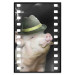 Poster Pig with Mustache - funny cinematic fantasy with a pink mustached pig 116364 additionalThumb 18