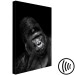 Canvas Gorilla (1 Part) Vertical 116464 additionalThumb 6