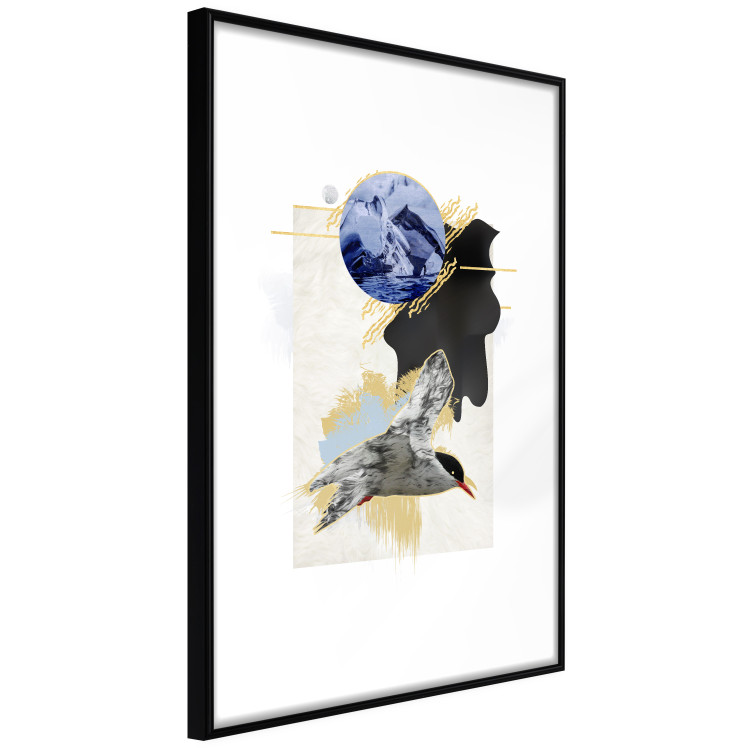 Wall Poster Antarctic Tern - colorful abstraction with a bird and a winter motif 116664 additionalImage 12