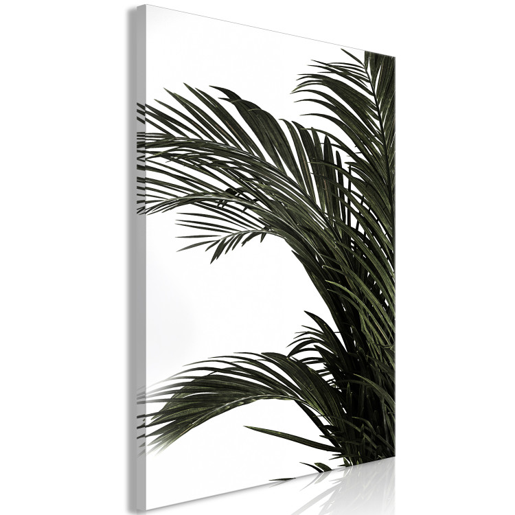 Canvas Art Print Home palm tree - minimalistic botanical motif with palm leaves 123664 additionalImage 2