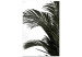 Canvas Art Print Home palm tree - minimalistic botanical motif with palm leaves 123664