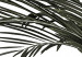 Canvas Art Print Home palm tree - minimalistic botanical motif with palm leaves 123664 additionalThumb 4