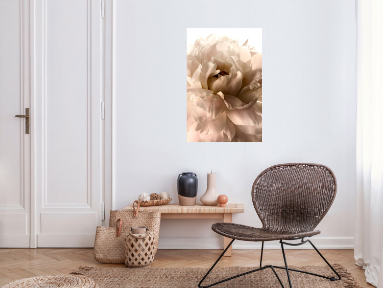 Poster Soft Petals - flower of plant in gentle sepia motif on white background 123764 additionalImage 17