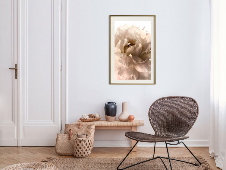 Poster Soft Petals - flower of plant in gentle sepia motif on white background 123764 additionalImage 21