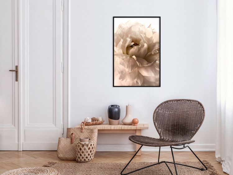 Poster Soft Petals - flower of plant in gentle sepia motif on white background 123764 additionalImage 5