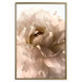 Poster Soft Petals - flower of plant in gentle sepia motif on white background 123764 additionalThumb 20