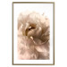 Poster Soft Petals - flower of plant in gentle sepia motif on white background 123764 additionalThumb 14