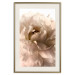 Poster Soft Petals - flower of plant in gentle sepia motif on white background 123764 additionalThumb 19
