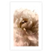 Poster Soft Petals - flower of plant in gentle sepia motif on white background 123764 additionalThumb 25