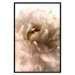 Poster Soft Petals - flower of plant in gentle sepia motif on white background 123764 additionalThumb 24