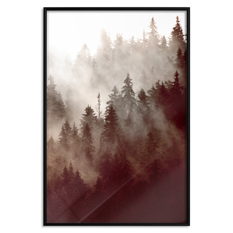 Poster Brown Forest - landscape of forest against trees in fog in sepia motif 123864 additionalImage 24