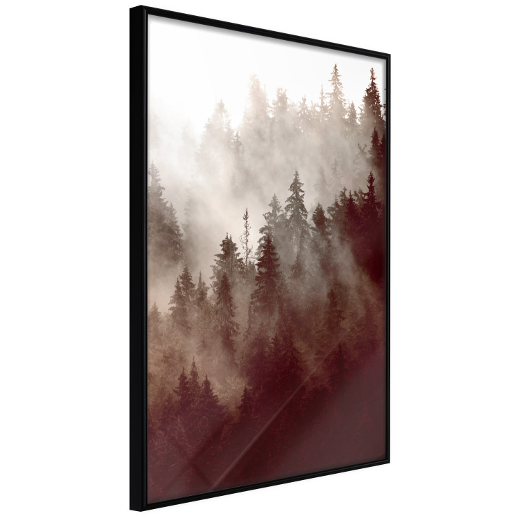 Poster Brown Forest - landscape of forest against trees in fog in sepia motif 123864 additionalImage 10