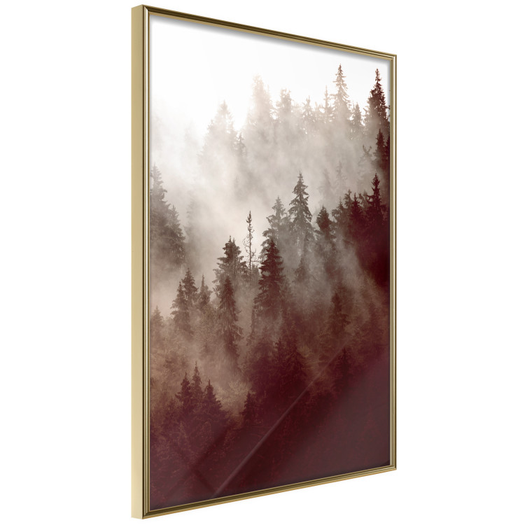 Poster Brown Forest - landscape of forest against trees in fog in sepia motif 123864 additionalImage 12