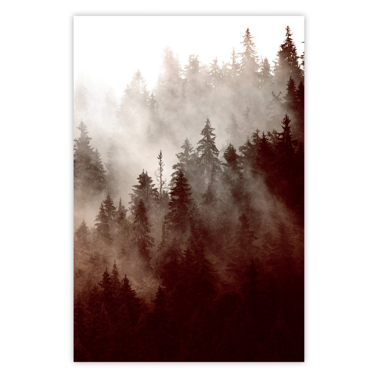 Poster Brown Forest - landscape of forest against trees in fog in sepia motif 123864
