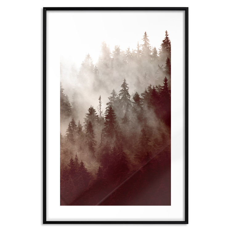 Poster Brown Forest - landscape of forest against trees in fog in sepia motif 123864 additionalImage 17