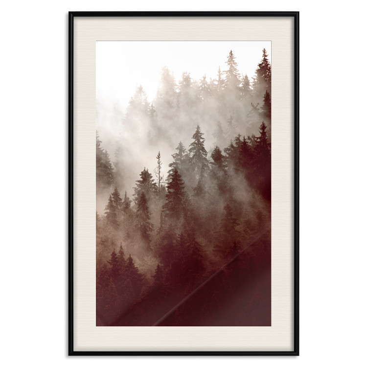 Poster Brown Forest - landscape of forest against trees in fog in sepia motif 123864 additionalImage 18