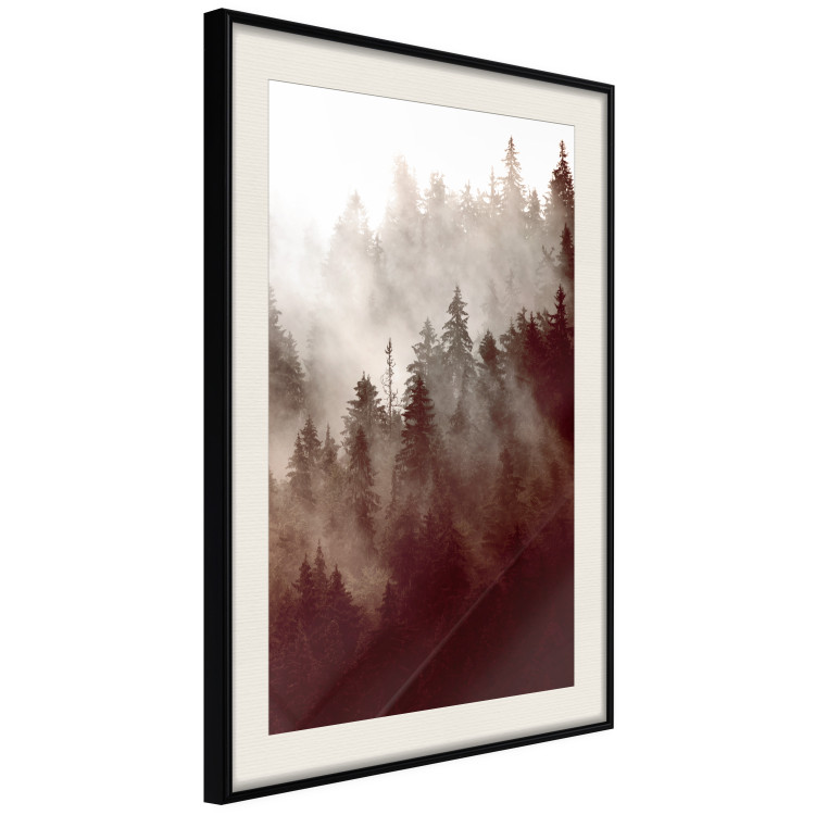 Poster Brown Forest - landscape of forest against trees in fog in sepia motif 123864 additionalImage 3