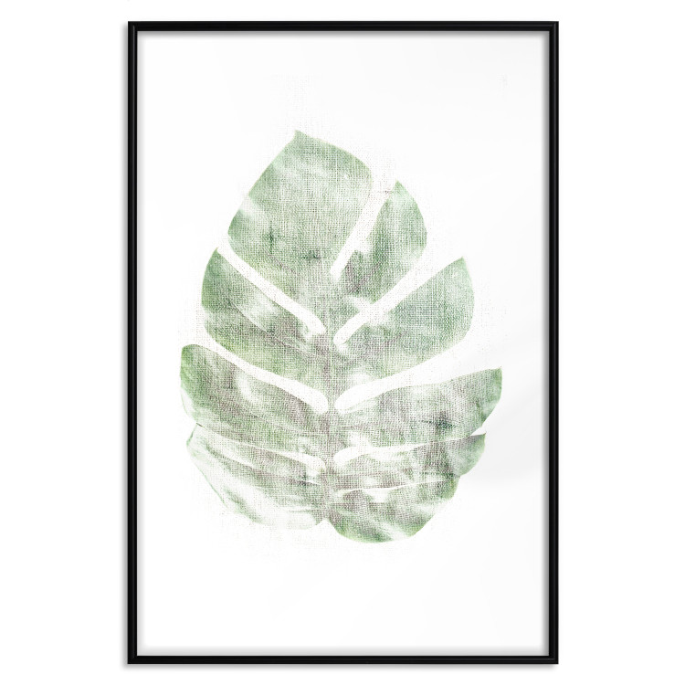 Poster Green Sketch - monstera leaf on a gently blurred white texture 126864 additionalImage 15