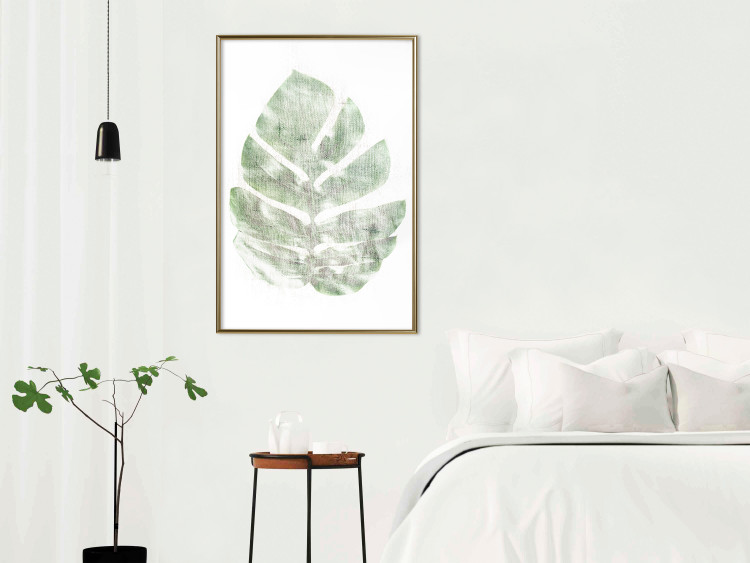 Poster Green Sketch - monstera leaf on a gently blurred white texture 126864 additionalImage 5