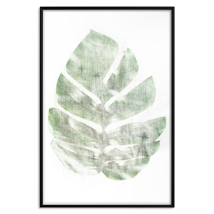 Poster Green Sketch - monstera leaf on a gently blurred white texture 126864 additionalImage 16