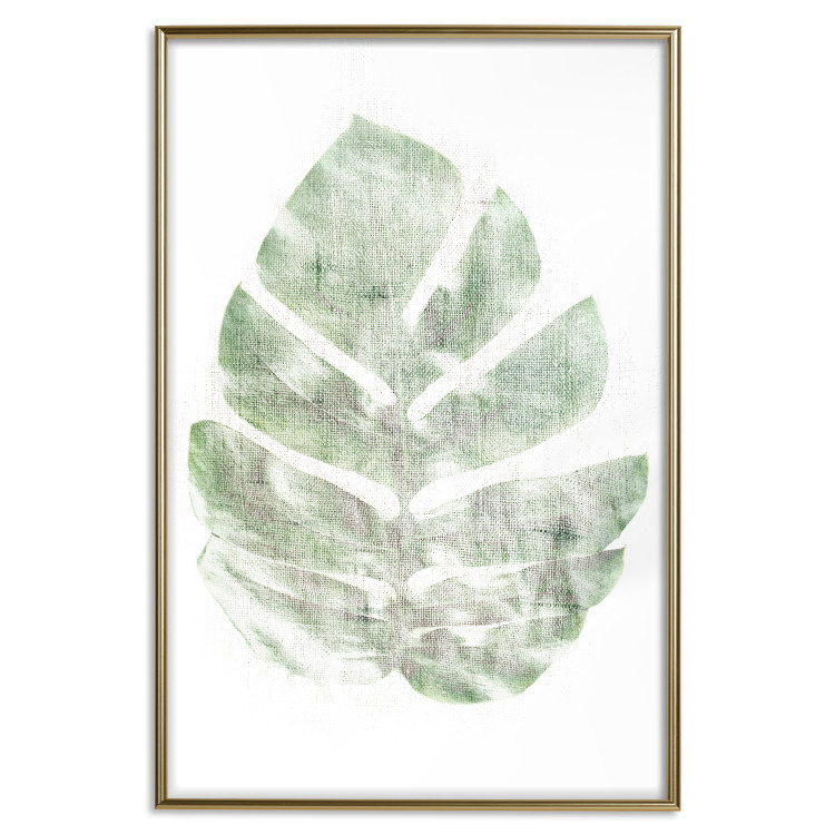 Poster Green Sketch - monstera leaf on a gently blurred white texture 126864 additionalImage 17