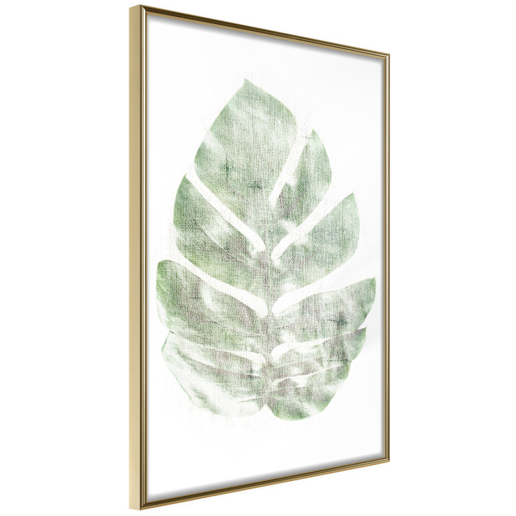 Poster Green Sketch - monstera leaf on a gently blurred white texture 126864 additionalImage 12